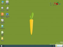 萝卜家园win10专业版_windows10 64位系统